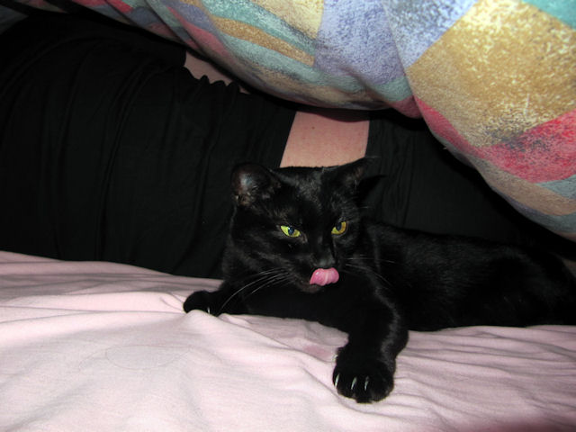 2010-11-15 Omg_l.jpg